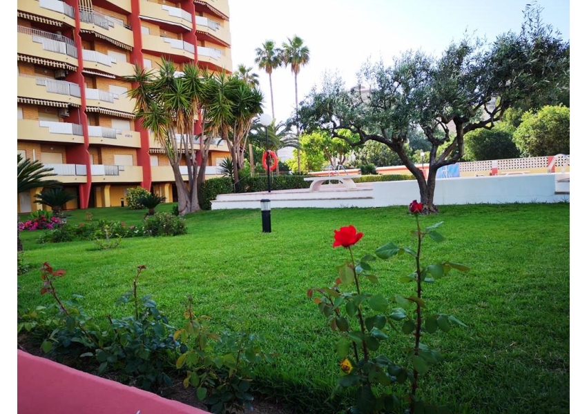 Apartament Playa de Gandia z basenem